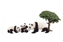 Panda medvídek jako živý serie 3...