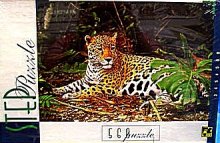 74. leopard