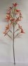 Skleněná květina Maxi 43 cm velká Oranžovo bílá Lt 200 Akce